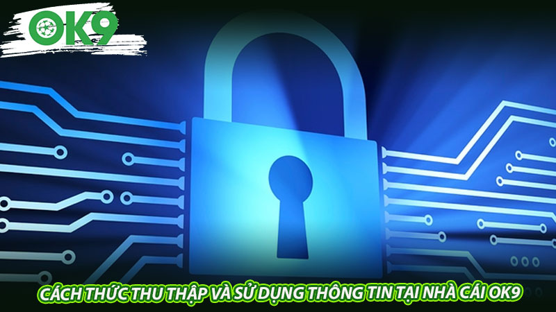 Cách thức thu thập và sử dụng thông tin tại nhà cái OK9