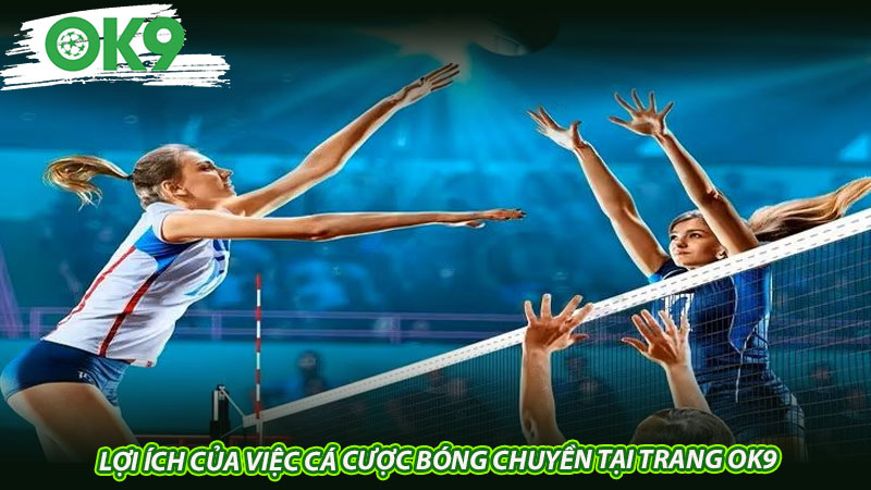 Lợi ích của việc cá cược bóng chuyền tại trang Ok9