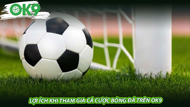 Lợi ích khi tham gia cá cược bóng đá trên Ok9