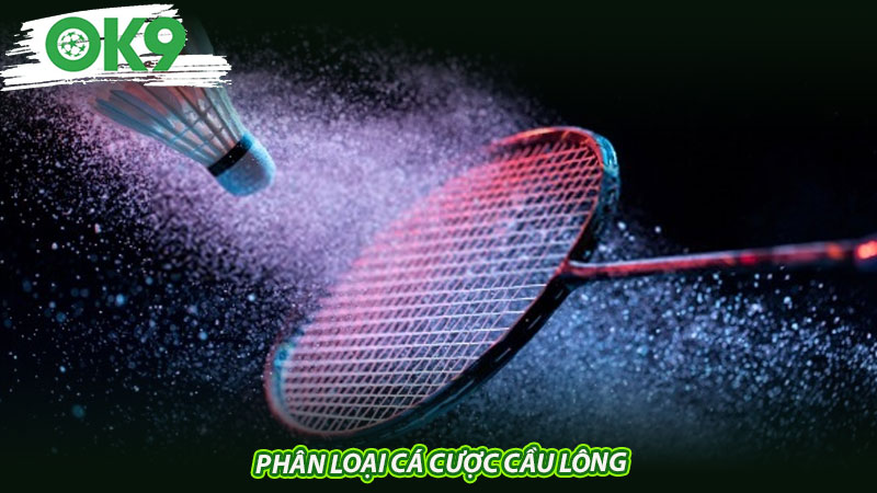 Phân loại cá cược cầu lông